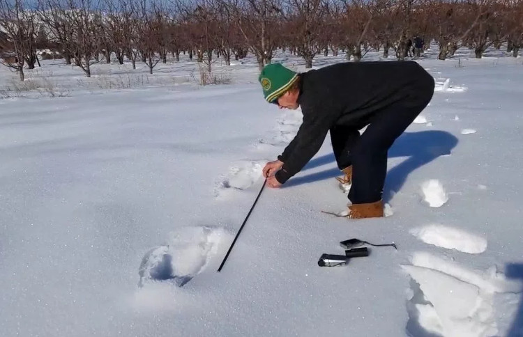 Paul Graves đo dấu chân bí ẩn trên tuyết.