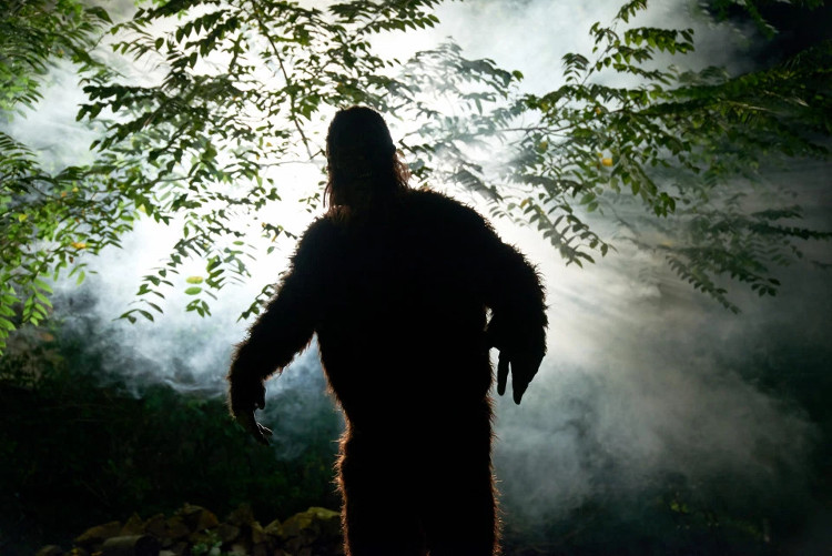 Từ hàng nhiều thế kỷ qua, người dân trên thế giới, đặc biệt là Mỹ, đã nhiều lần kể lại những phát hiện của họ về Bigfoot
