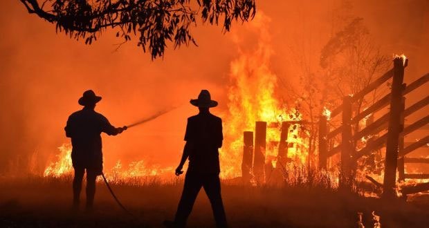 Australia vẫn đang khắc phục hậu quả từ đợt cháy rừng lịch sử.