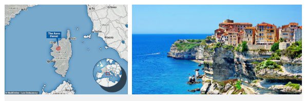 Đảo Corse - nơi phát hiện giống mèo lạ