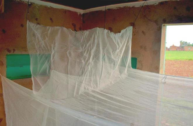 Phát triển thành công loại màn vừa an toàn với người, vừa tiêu diệt muỗi cực hiệu quả