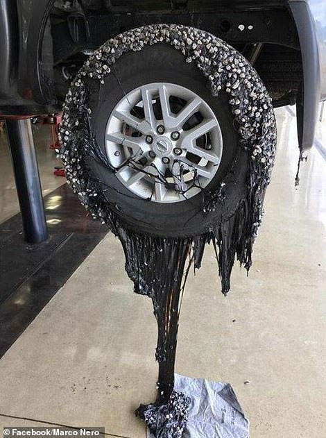 Nắng nóng kỷ lục khiến nhựa đường bám vào lốp xe.