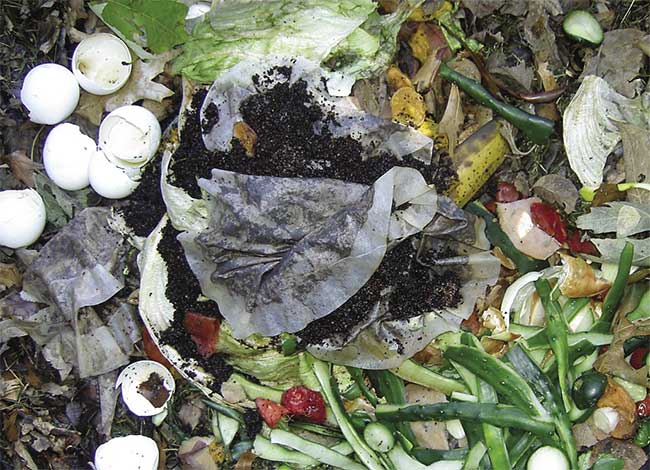 Sử dụng rác thải từ nhà bếp để làm phân hữu cơ.