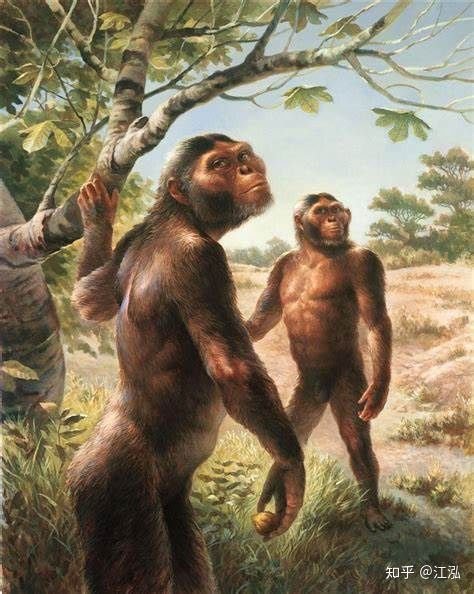Australopithecus (chi Vượn người phương nam).