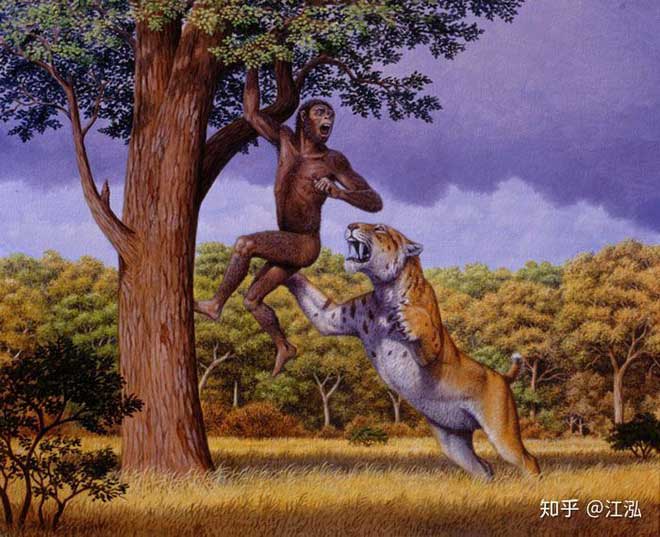 Tổ tiên của con người rất dễ trở thành con mồi cho những loài thú lớn khi chỉ đơn lẻ một mình.