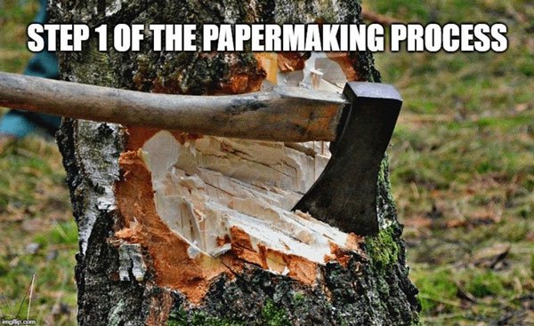 Hầu hết các loại giấy được sản xuất ngày nay vẫn đến bột giấy có nguồn gốc từ cây