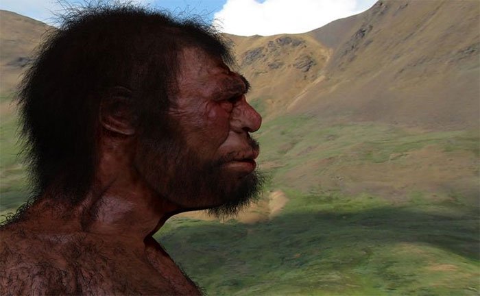 Nhiều người trong chúng ta mang dòng máu lai Denisovans so với loài Homo sapiens