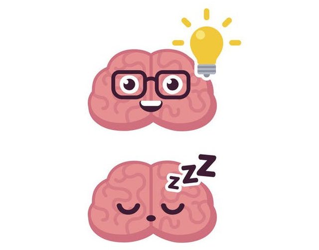 Bộ não quyết định đánh thức bạn dậy hay để bạn ngủ tiếp khi có âm thanh vang lên xung quanh.