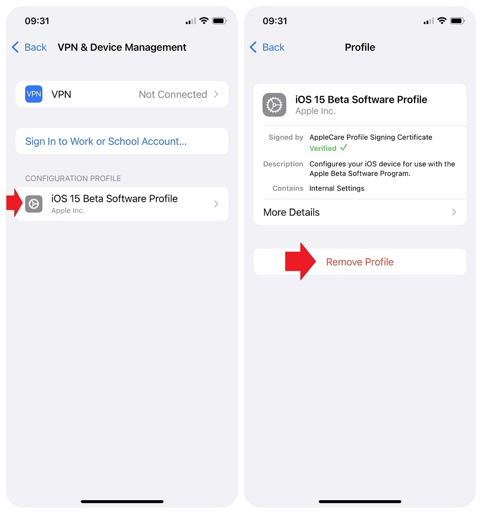 Hướng dẫn ngừng cập nhật iOS beta