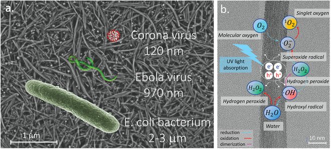 Kích thước mắt của vật liệu nano oxit titan có thể chặn được cả virus corona.