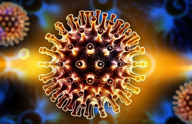 Virus HIV có xu hướng nhắm vào những tế bào có hoạt động trao đổi chất cao.