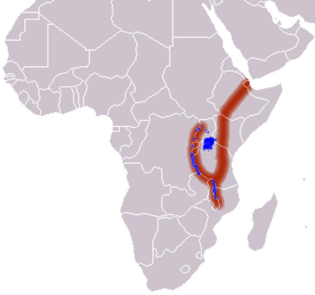 Hình ảnh đới tách giãn Đông Phi (East African Rift) - màu nâu.