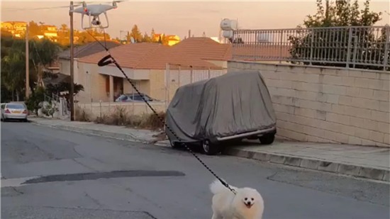 Dắt chó đi dạo bằng drone để tránh Covid-19
