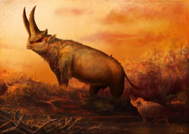 Arisinoitherium là một loài động vật ăn cỏ đã tuyệt chủng, giống với tê giác sống trong thời gian cuối Eocene và đầu Oligocene