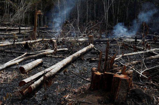 Cháy ở Novo Airao - cũng thuộc bang Amazonas - hôm 21/8