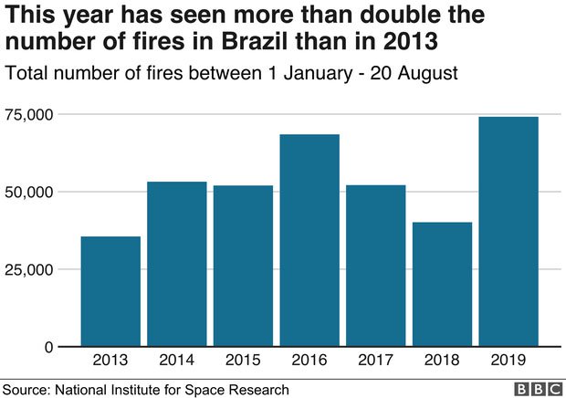 Năm 2019 chứng kiến số vụ cháy rừng ở Brazil tăng đột biến, hơn gấp đôi so với năm 2013