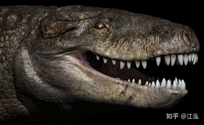 Loài cá sấu cổ đại này còn sở hữu một thân hình to lớn tương đương như những chiếc xe tải.