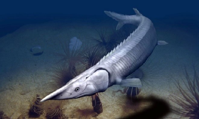 Mô phỏng cá Tanyrhinichthys mcallisteri ở biển.