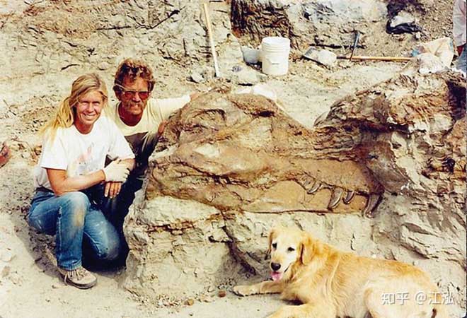 Susan (đầu tiên bên trái) và mẫu hóa thạch 