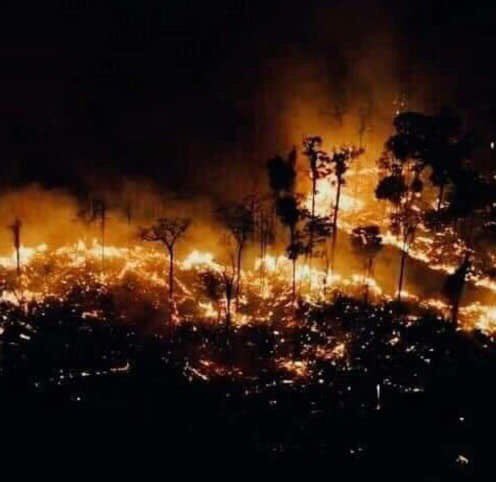 Tìm đám cháy rừng Amazon trên Google, kết quả cho ra toàn... máy tính bảng - Ảnh 5.