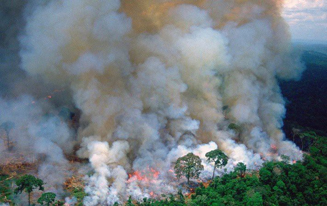 Tìm đám cháy rừng Amazon trên Google, kết quả cho ra toàn... máy tính bảng - Ảnh 9.