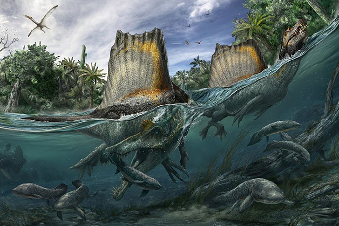 Spinosaurus rất thích ăn cá.