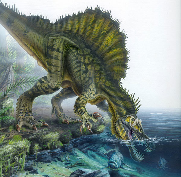 Spinosaurus không cần biết bơi cũng vẫn bắt được cá.