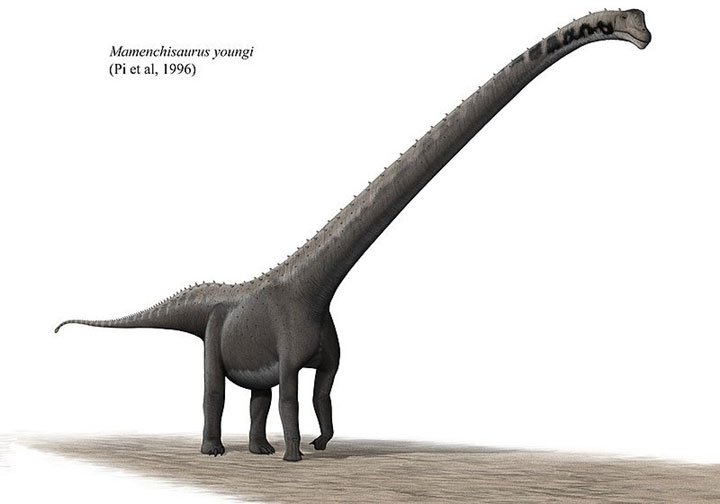 Khủng long Mamenchisaurus có cái cổ kéo dài hơn 10 mét.