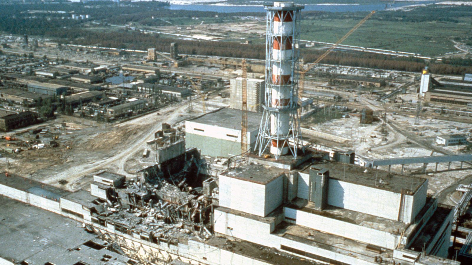 Ếch có màu đen sống tại Chernobyl cho thấy hoạt động tiến hóa diễn ra như thế nào - Ảnh 1.