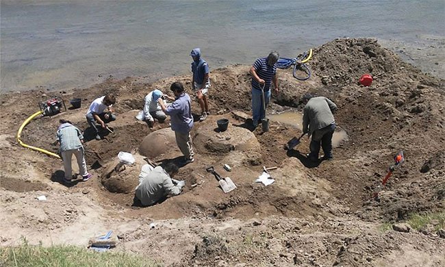 Địa điểm khai quật nằm bên một bờ sông ở Buenos Aires. 
