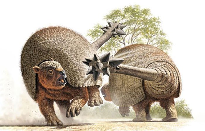 Đồ họa mô phỏng loài Glyptodont khổng lồ.