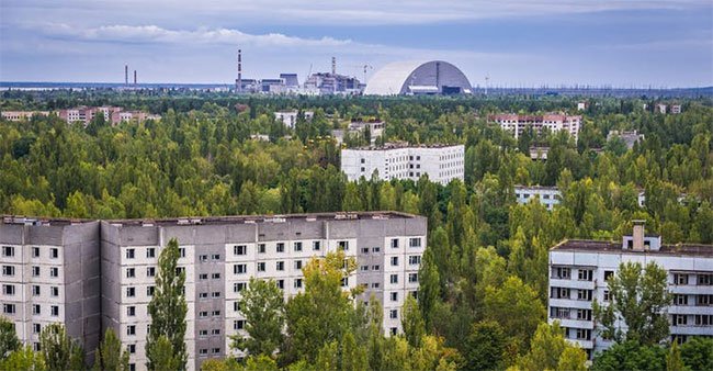 Tại sao thảm họa nguyên tử Chernobyl không giết hết tất cả các loài thực vật?