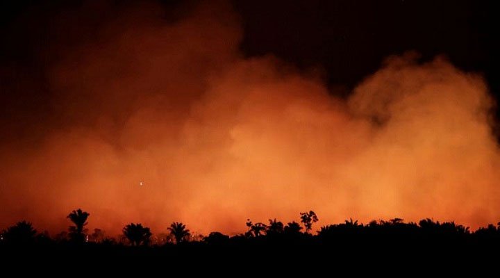 Cháy rừng ở Brazil sẽ khiến nguồn cung cấp không khí sạch trên Trái đất bị suy giảm.