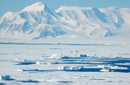 10 điều thú vị về hai vùng cực 