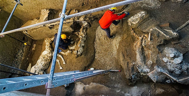 Các chuyên gia khai quật biệt thự cổ ở Pompeii. 