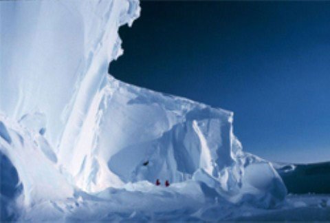 12 điều thú vị về Nam cực và Bắc cực