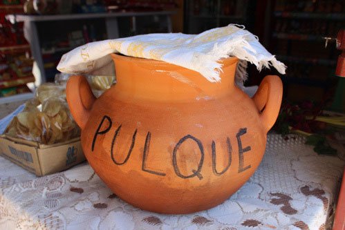 Pulque là một loại rượu thần thánh mà uống mãi bạn vẫn không thấy mình say.