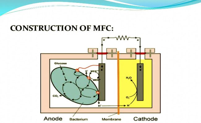 Sơ đồ hoạt động của một MFC truyền thống với vi khuẩn, anode và cathode.