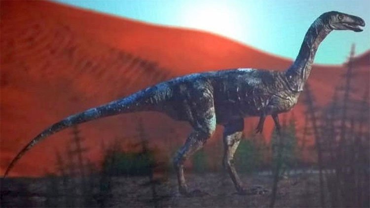 Chúng là những con khủng long ăn thịt cỡ nhỏ có chiều dài khoảng 1,6m và đi bằng hai chân.