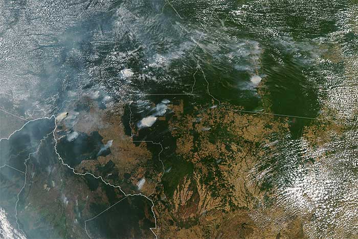 Hậu quả khủng khiếp của cháy rừng Amazon