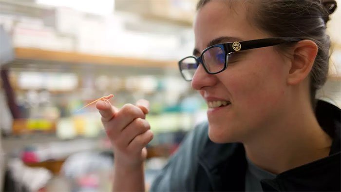 Nhà nghiên cứu Ashley Rasys giữ thằn lằn con bạch tạng trên ngón tay.