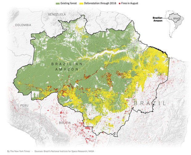 Màu vàng là các khoảng rừng bị chặt hạ trong năm 2018, và màu đỏ là nơi cháy rừng kể từ tháng 8.