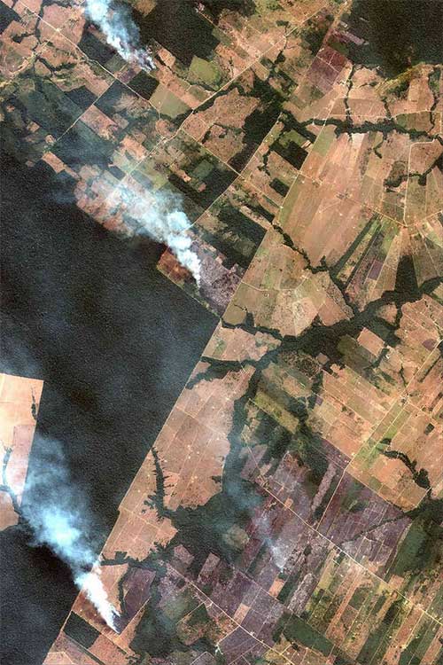 Đám khói bốc lên từ các khu vực nông nghiệp của Amazon.