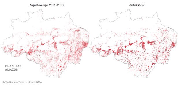 Biểu đồ thể hiện mật độ cháy rừng trung bình 8/2011- 2018 và tháng 8/2019.