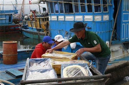 Chính sách phát triển thủy sản giúp nghề cá vươn khơi