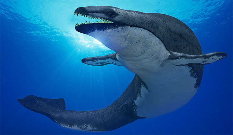 Hình ảnh của loài thủy quái đáy biển Basilosaurus isis.