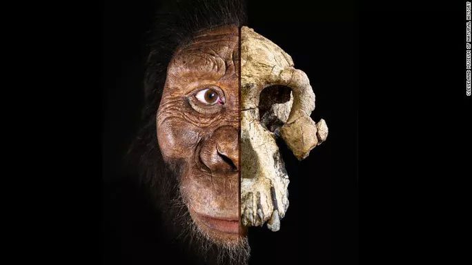 Khuôn mặt khá hoàn chỉnh của tổ tiên loài người cách đây 3,8 triệu năm tuổi