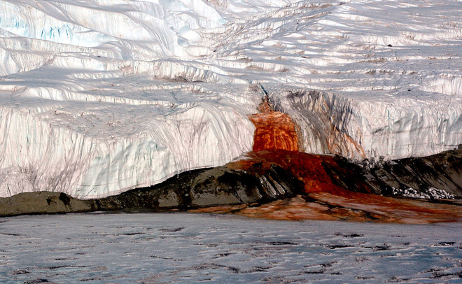 Thác máu: Bí ẩn 106 năm ở Nam Cực vừa được khoa học giải mã