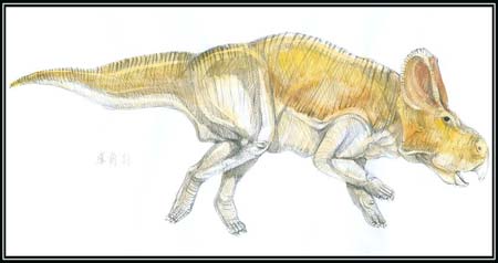 Protoceratop