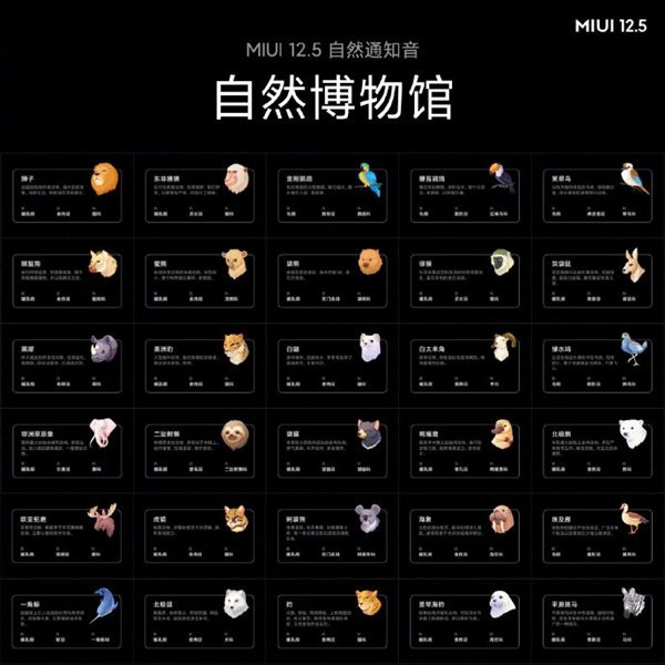 Xiaomi công bố MIUI 12.5 nhanh, an toàn và đẹp hơn bao giờ hết ảnh 6